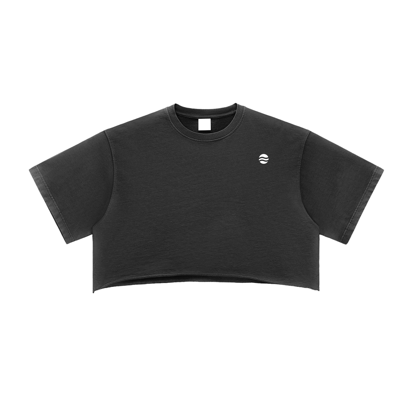 Snow Washed Raw Edge Crop Top