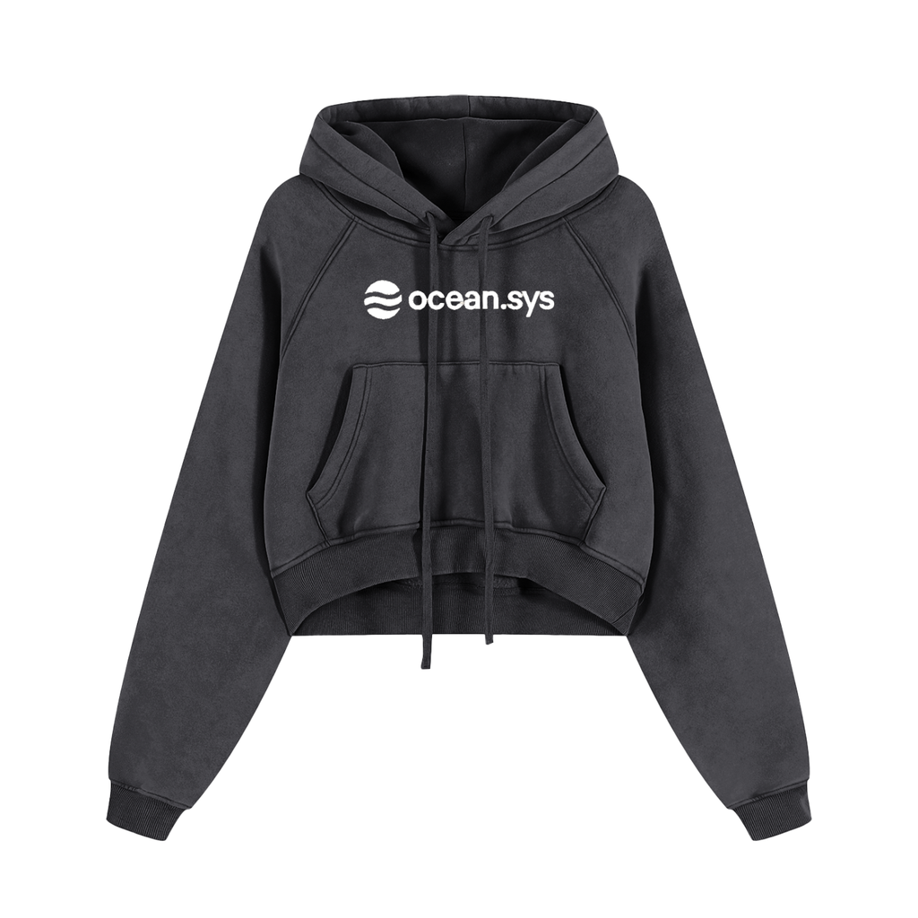 Snow Washed Cropped Hoodie