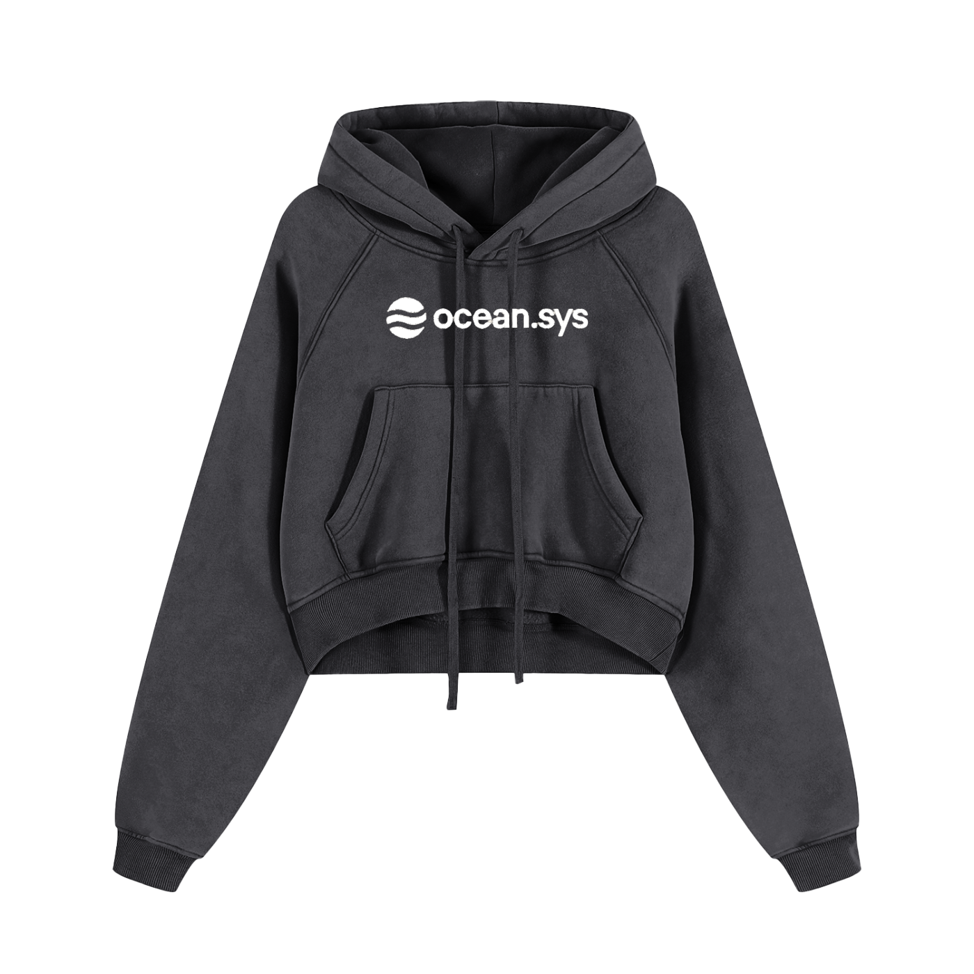 Snow Washed Cropped Hoodie